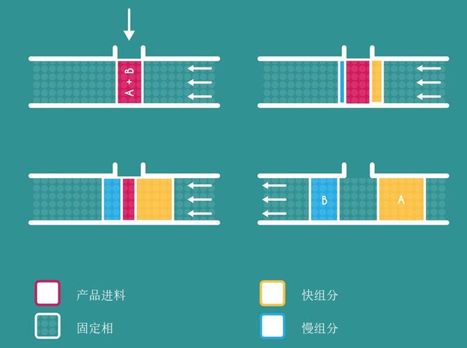 色谱填料比表面积_填料表面处理方法_填料表面积计算