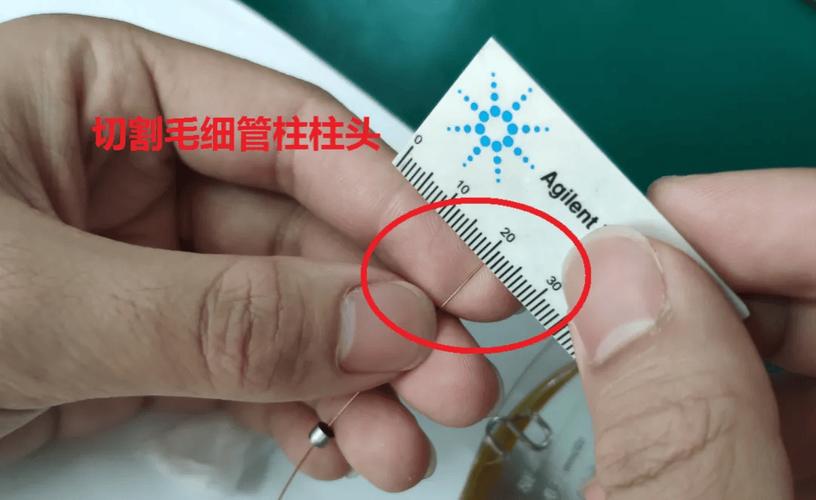 填充柱气相方法使用视频_气相填充柱填料_气相填充柱使用方法